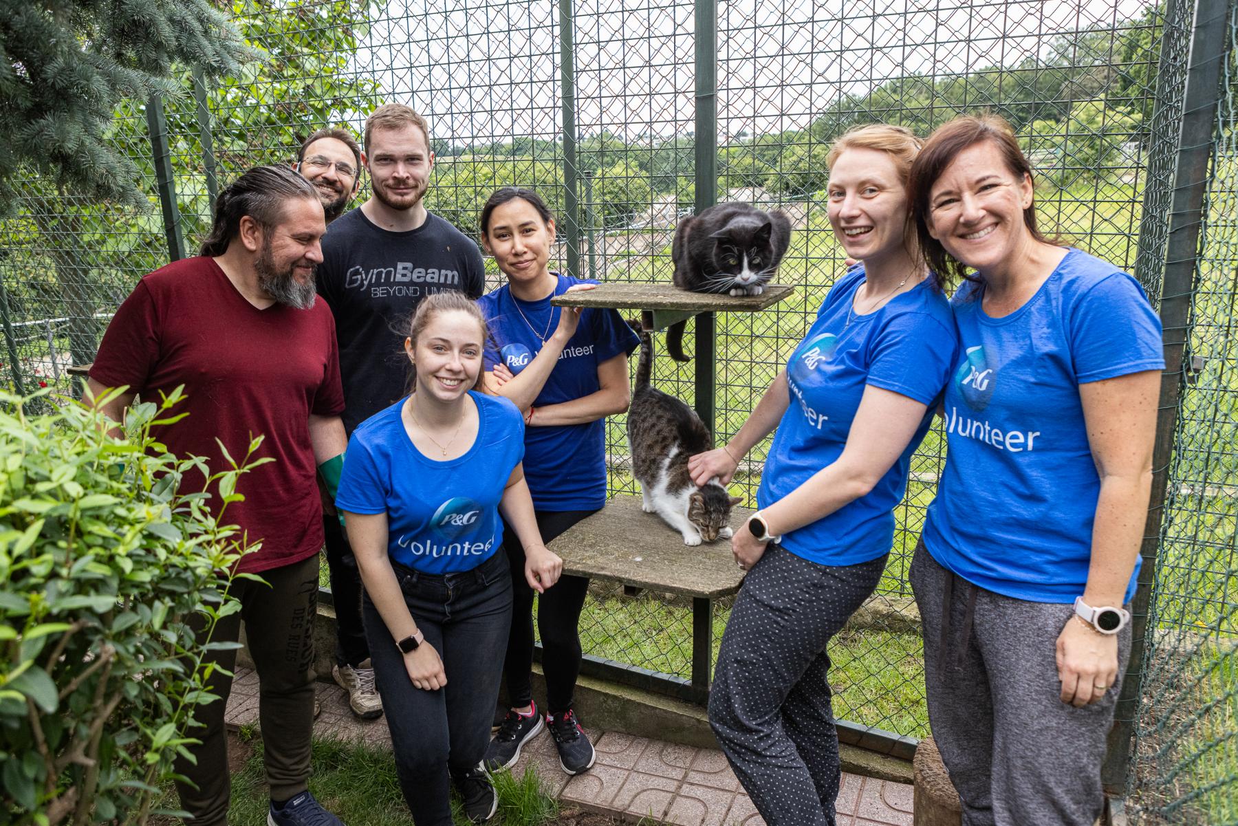 Corporate volunteers worked 1,805 hours on Give & Gain Day this year